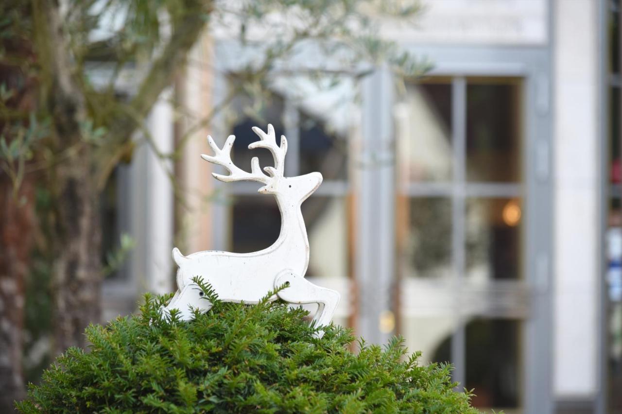 Hirschen In Freiburg-lehen Hotel 4*